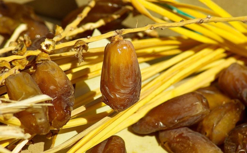 Les dattes : un allié ou un ennemi pour votre ligne  ?