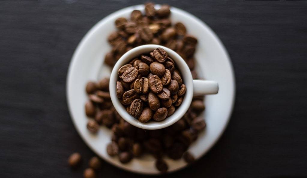 Le café au champignon adaptogène pour un moment de bien-être